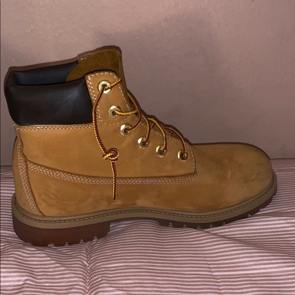 Timberlands - Picture 3 of 4